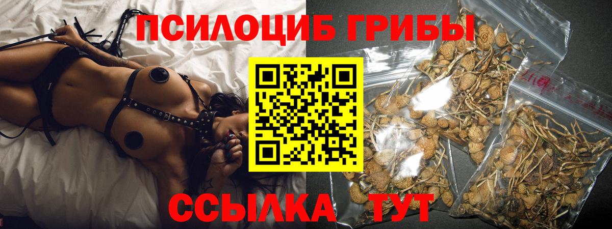 Галлюциногенные грибы GOLDEN TEACHER Лабытнанги